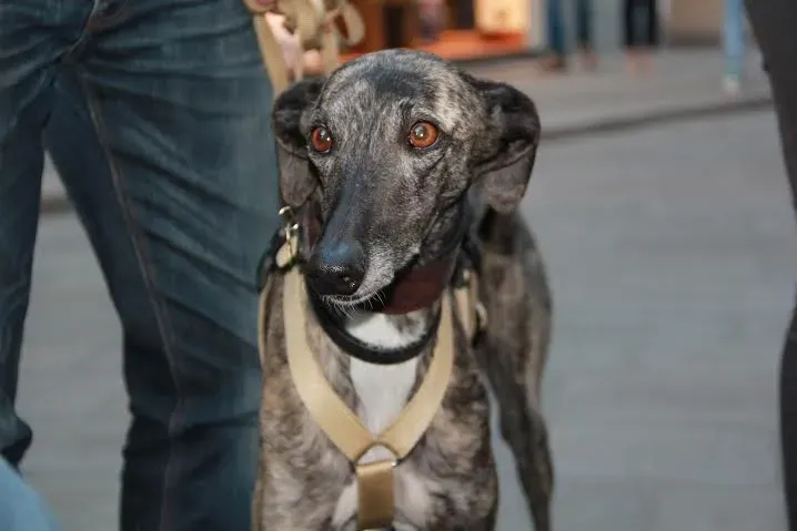 921b091e 79b5 4bfd b634 ebbd0543fefb