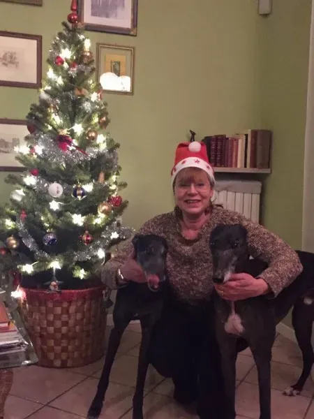 922848 1532672457033185 5443833698031840601 n