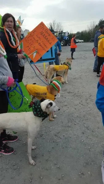 922904 983425998407922 8391350583879558478 n