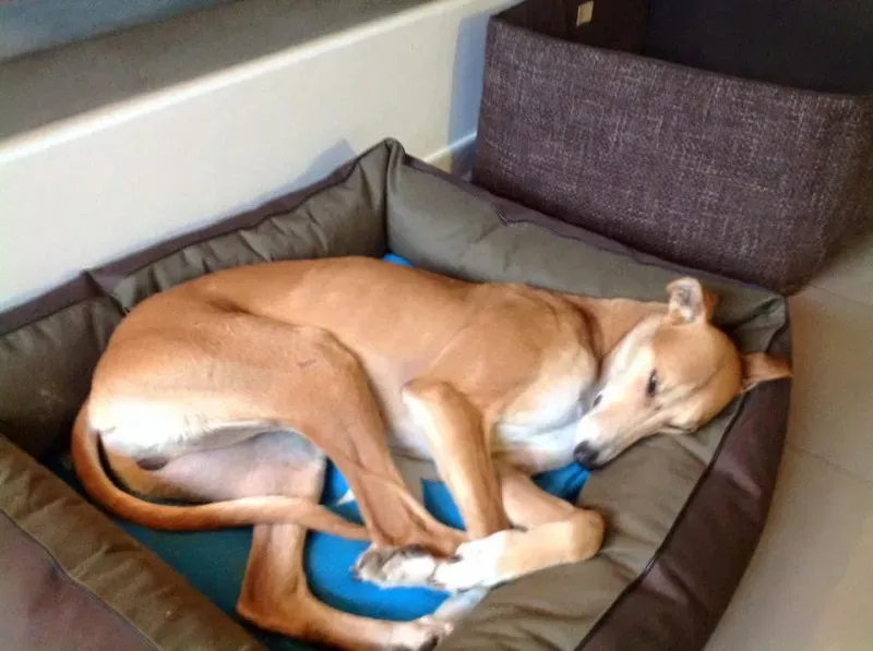 923412 10207845047943044 7227395663143289727 n