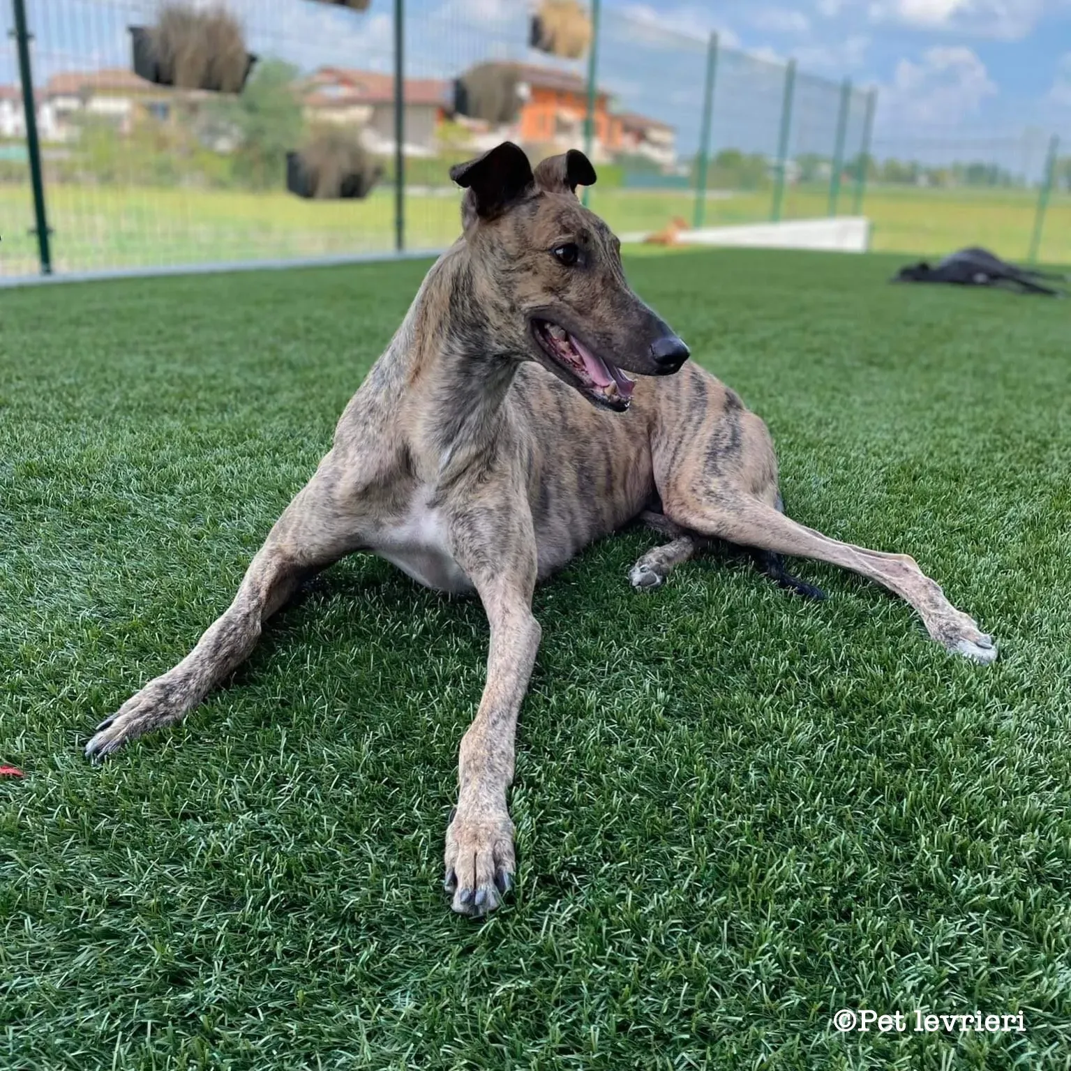 92A07A07 5E7B 40E8 8631 0F117E3DC11E