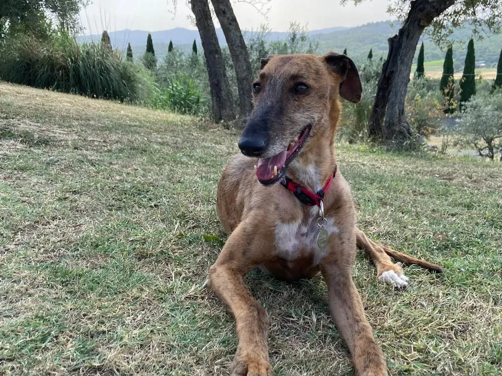 92c9f042 00fb 451b ac45 1bd84e74fba0