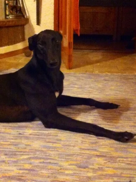 932f4fb21d8c9d77d4e6d958d8ea5649