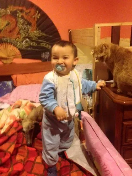 934129 1532465550387215 7955577383773606895 n