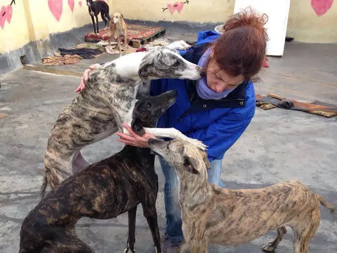 934720 986366918113830 1171715228197614596 n