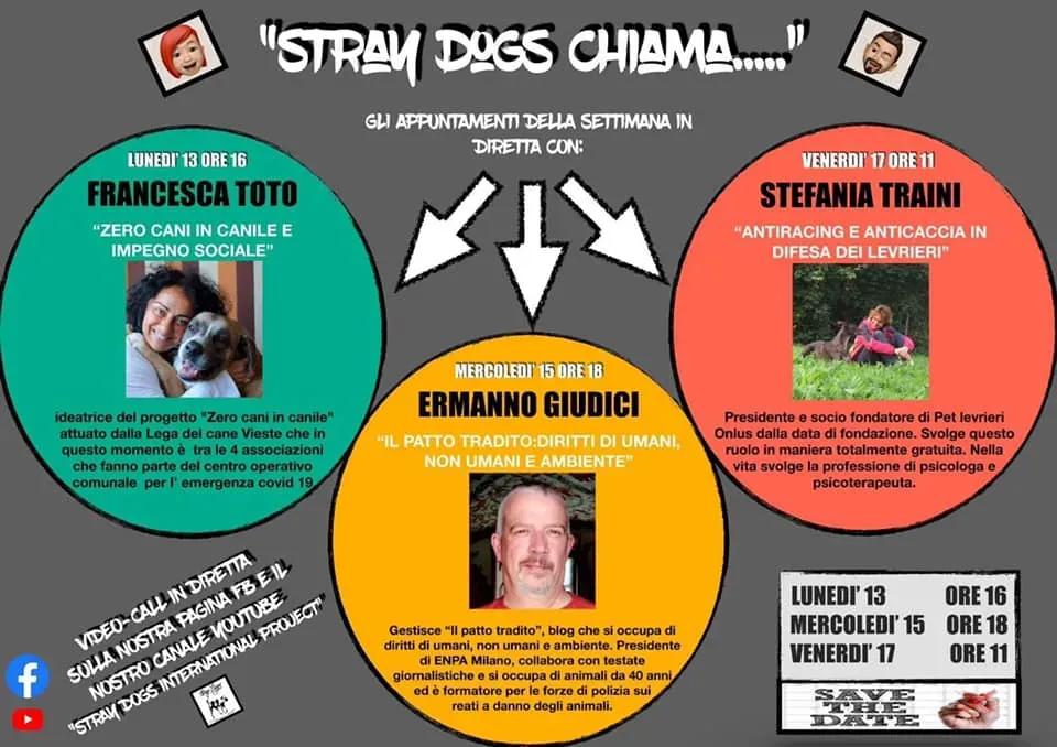 93478753 2926385780778591 2348515824286826496 n