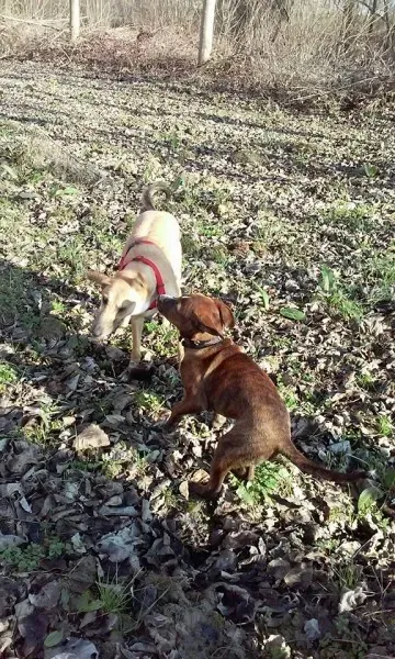 934804 1028559603827990 3033334733404824857 n