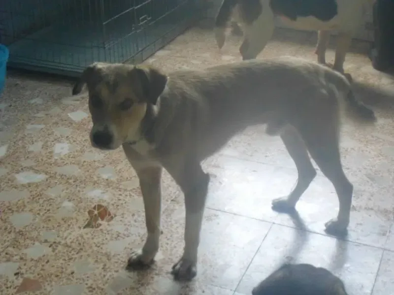 935270 10201075085901748 2142175102 n