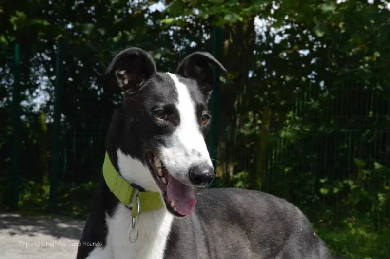 936056 570180556423590 4466544484637885632 n