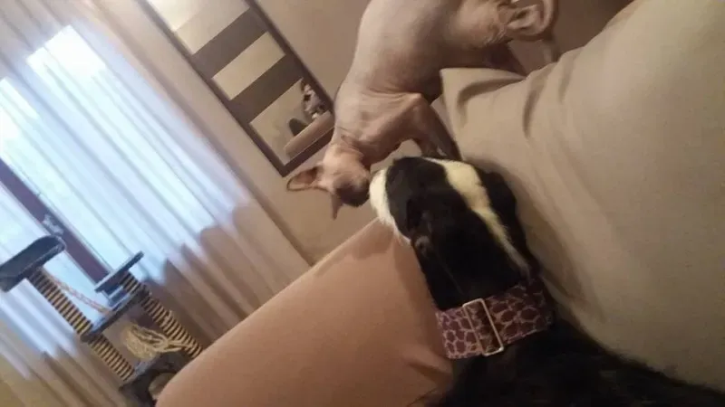 936554 10207588179935246 7746534772292779433 n