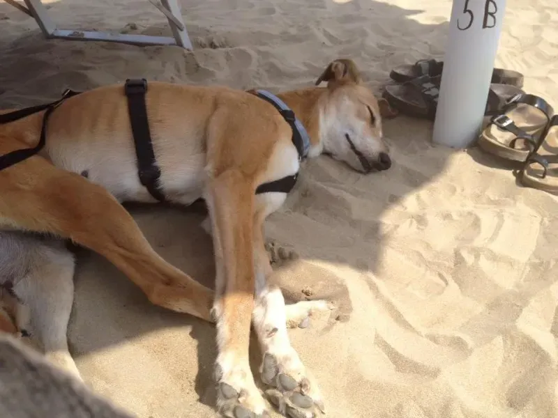 936635 575319709305745 5643473282419425535 n