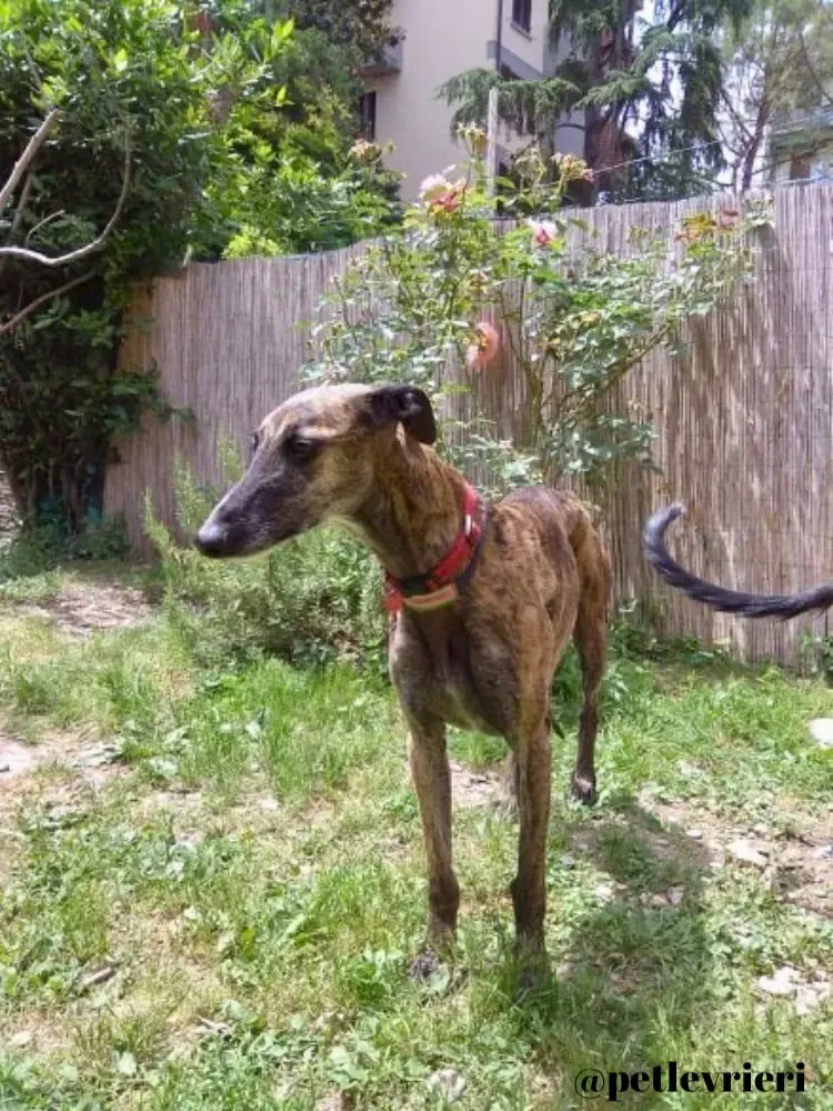 9380E713 A4A2 4BCA A7AF 7B9609975372