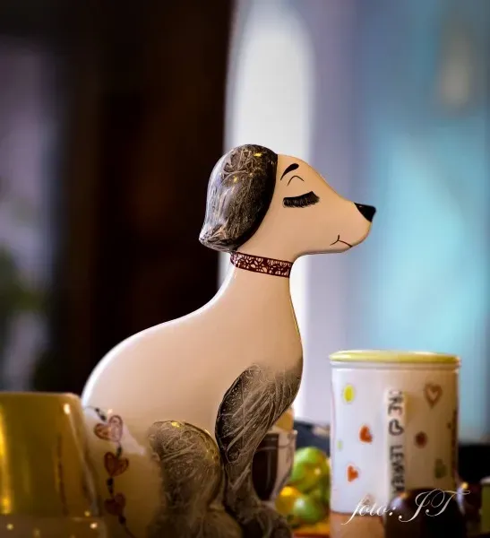 939329 981827971886606 1633981222 o