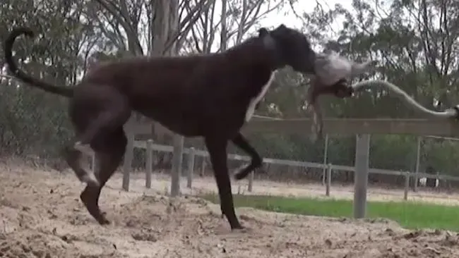 939cd1ff03f7169a109d071788ba1b57