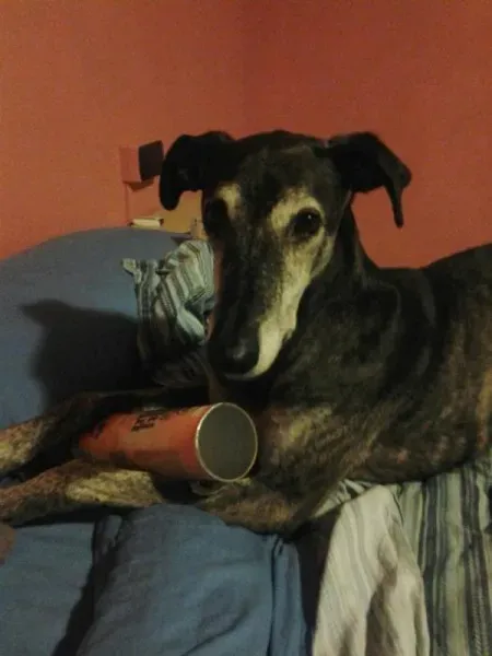 940929 10200673862681603 295009611 n