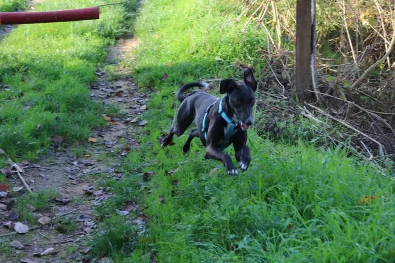 941335 577113005790556 2910169704807639346 n