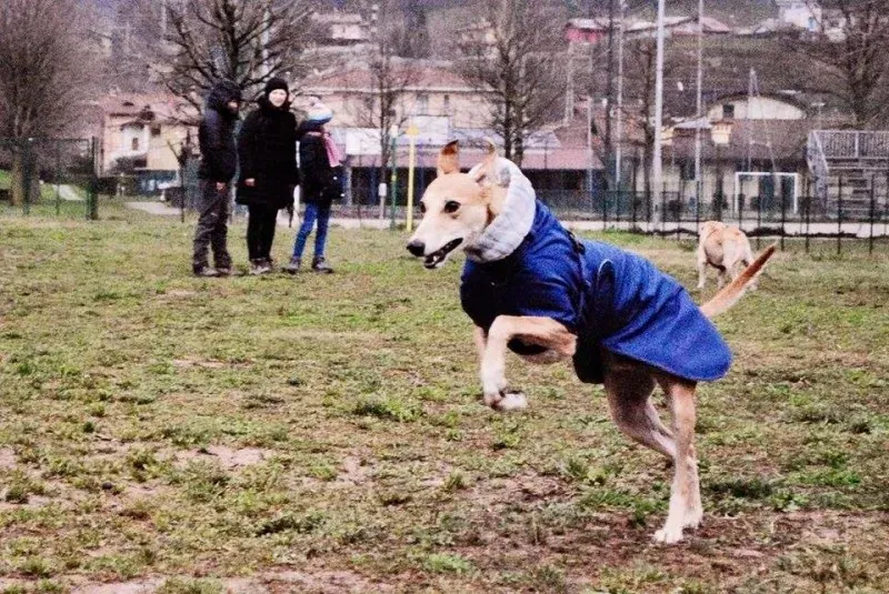 941350 10207845046983020 6186638487595513948 n