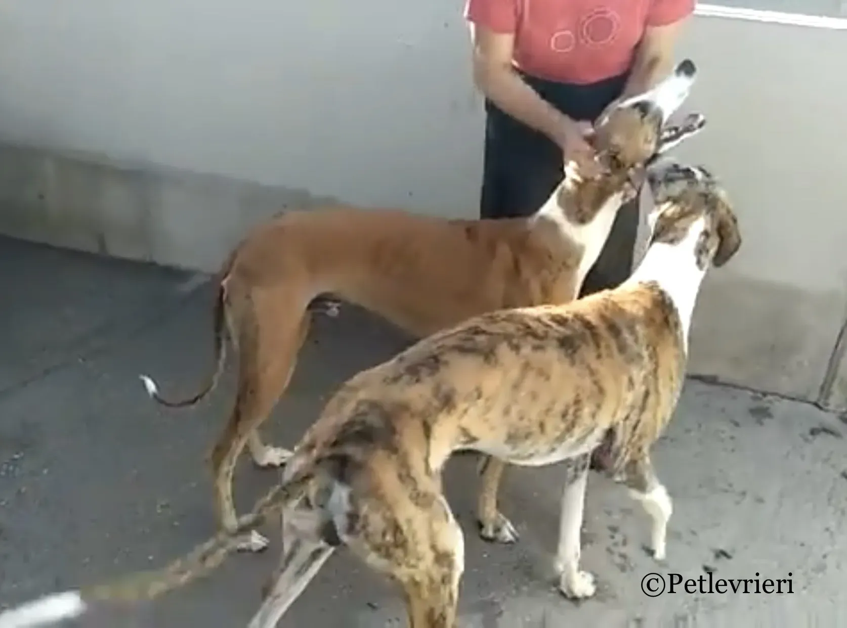 941F584A AA19 424D 8A31 EE7AFB103771