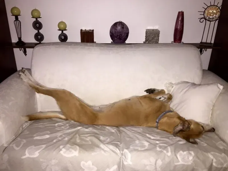 942597 575319565972426 6656270704432323807 n