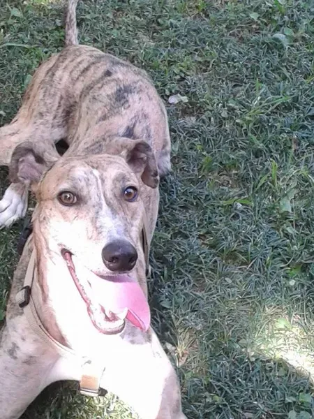 943851 209484572745637 7415054584624968658 n