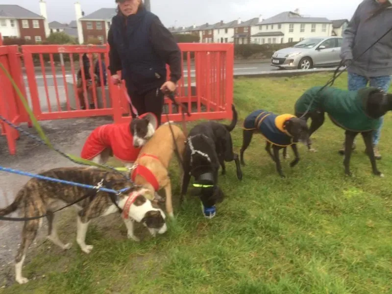 944073 10207086254688644 7408854224702693055 n