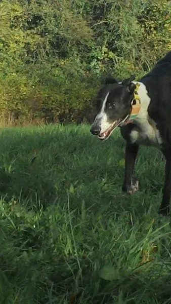 9440 10204258115426617 8769244916749546356 n