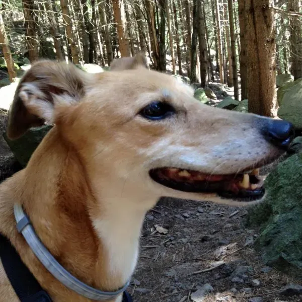 944868 575319452639104 1421358488390128517 n