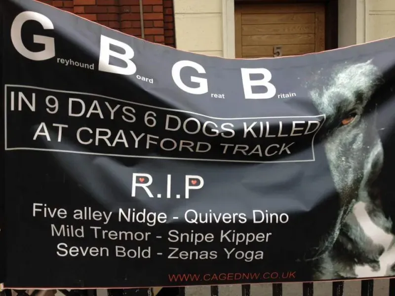 945248 971625992945536 2516153475863097160 n