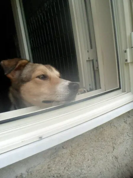 945604 10201075078221556 203005787 n