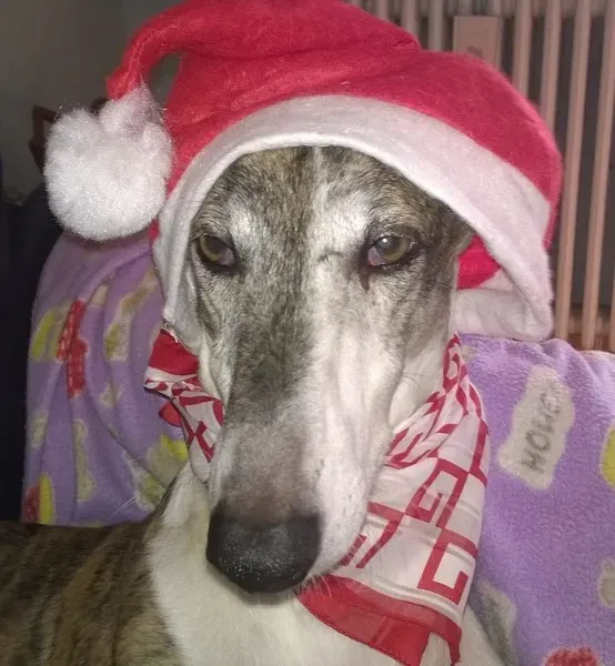 945893 914667051943907 7780745874425348807 n