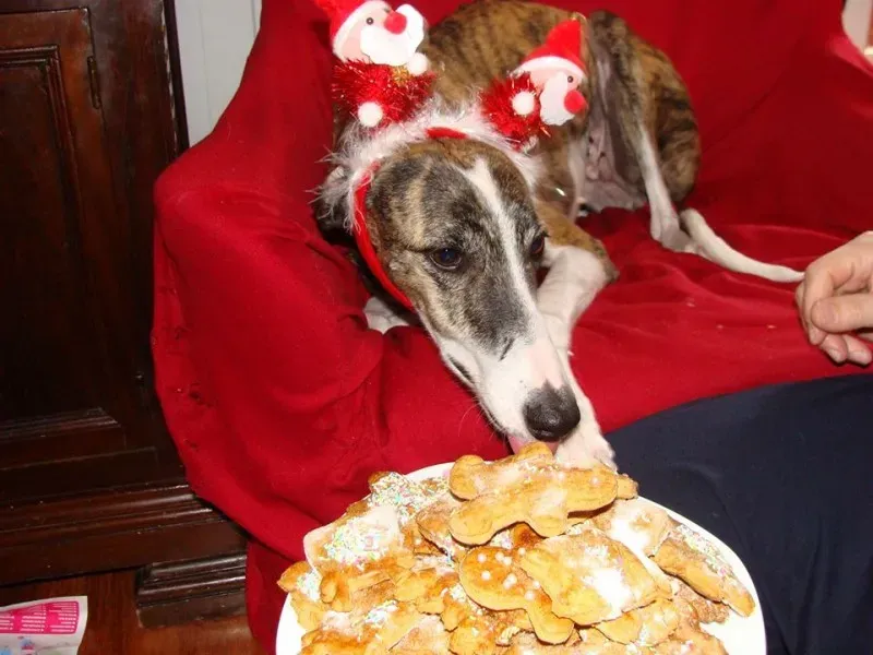 946455 532013146975815 6958352526799457049 n