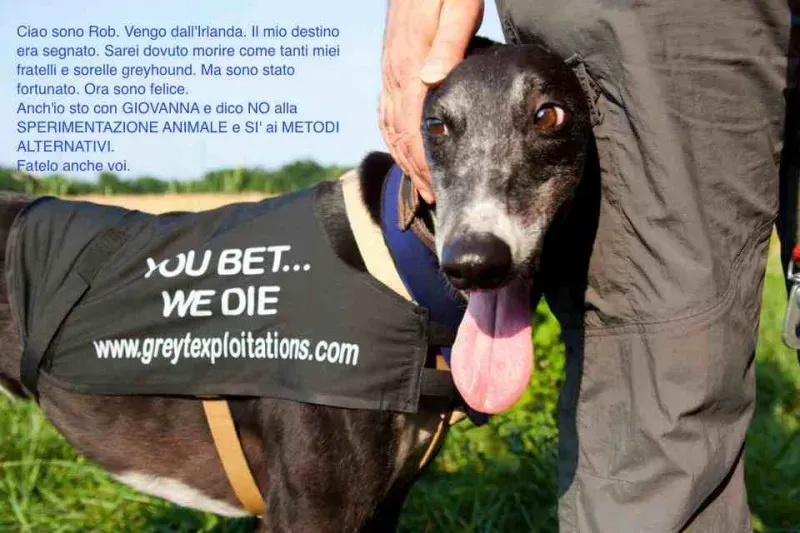 946586 537888269597676 373775446 n