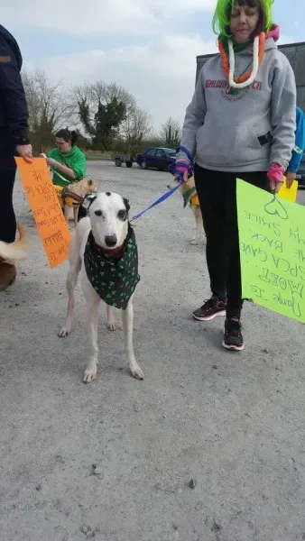 946744 983425988407923 8427378524357716736 n