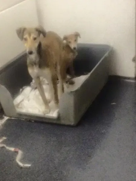 946790 946230992127423 771109025024369148 n