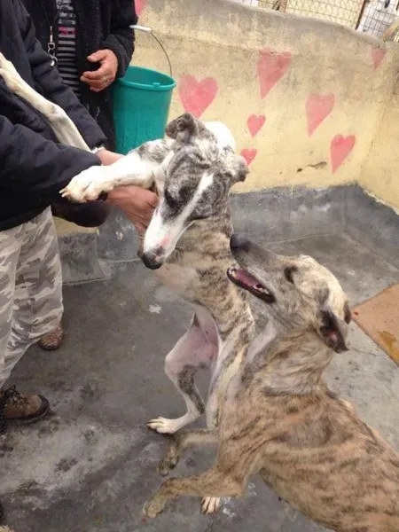 947096 986366951447160 6690567328686570569 n