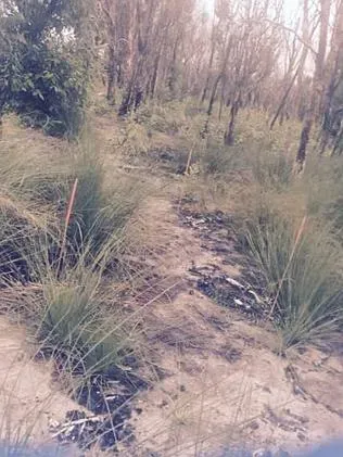 947803 24fd0260 d8d0 11e4 915f fd70bc6357a8