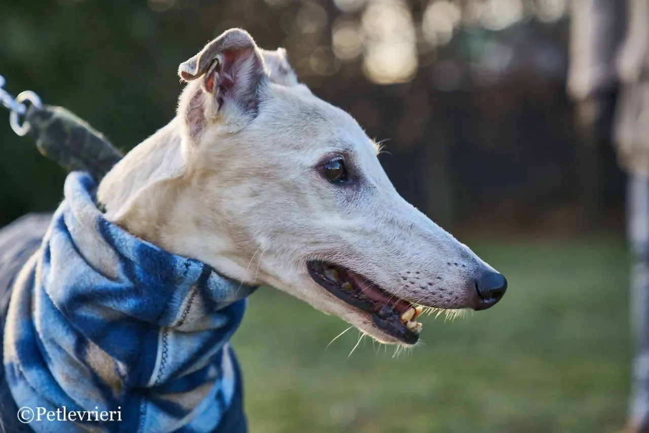 94E9F863 3616 489A 9420 8484390D2F39