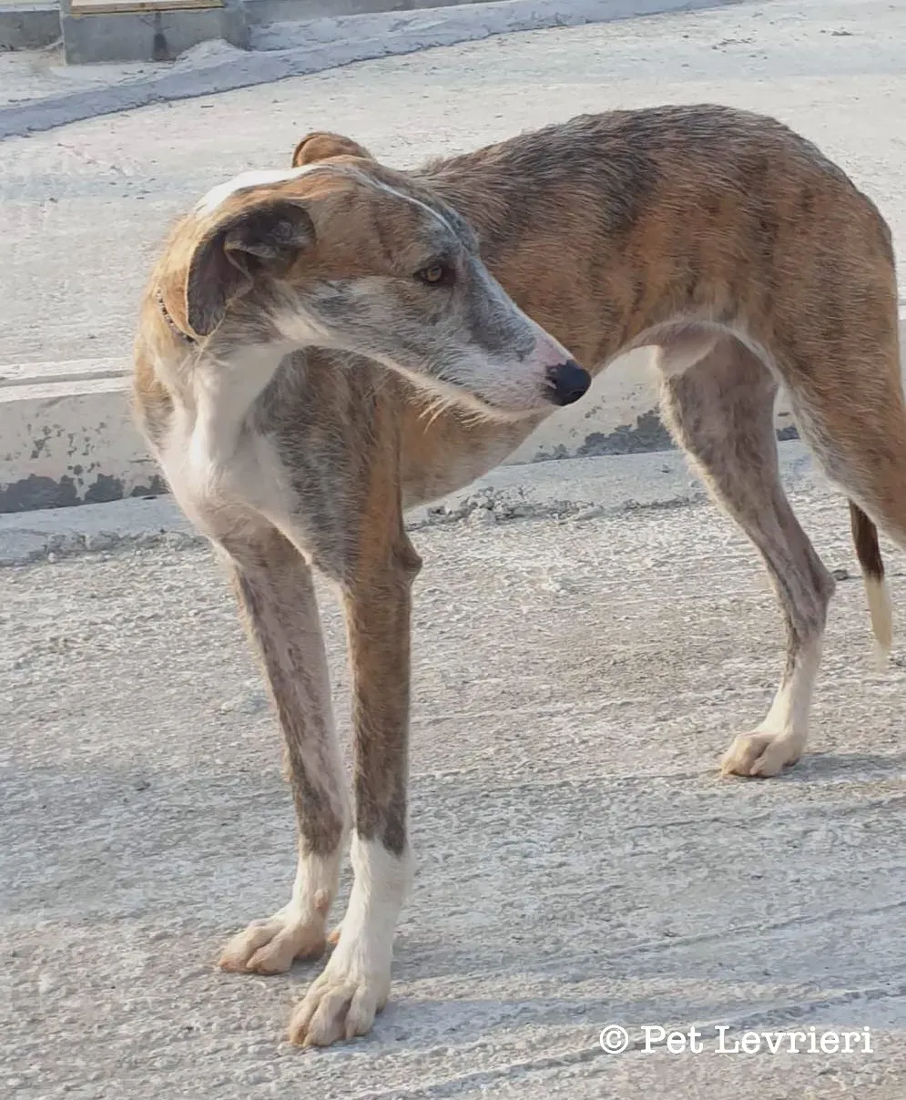 94F92C04 E49F 46A0 9F4C 014FDAEE57EB