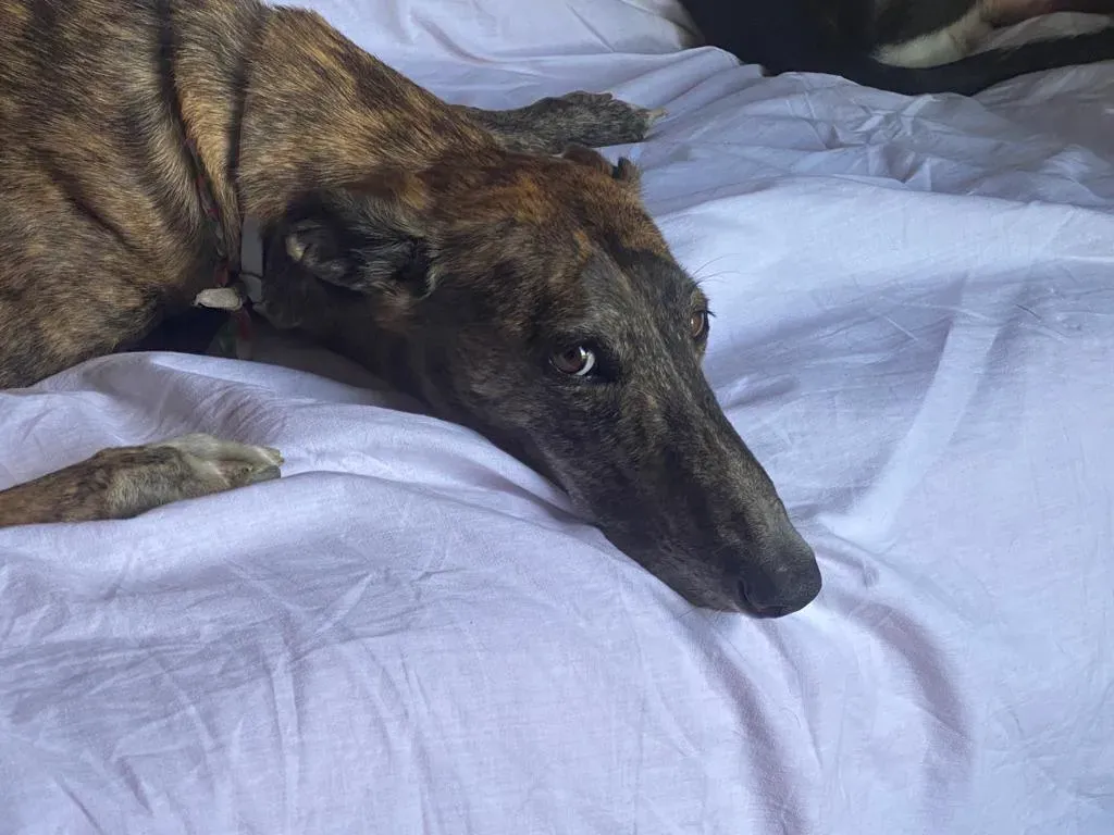 94a4c420 09bd 46da ac68 02af586495b3