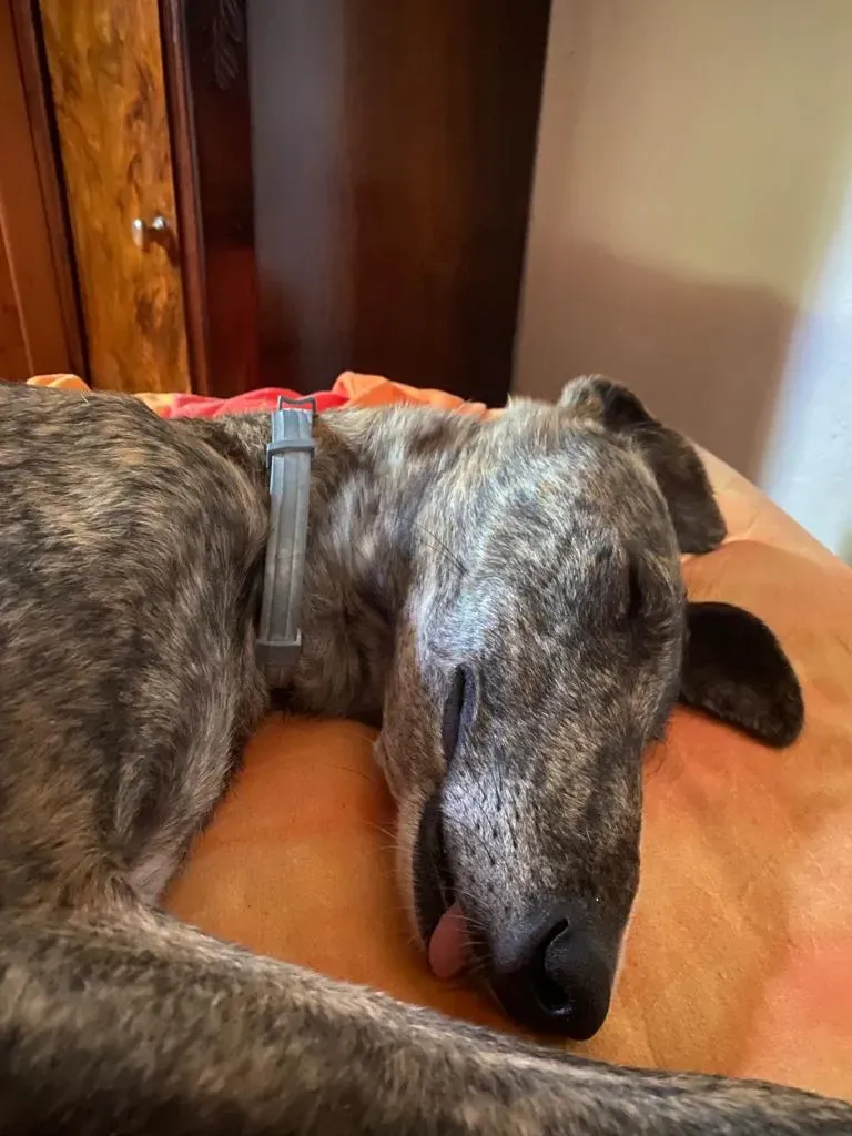 94c47c95 0521 4569 aa15 6c66cc1ce221