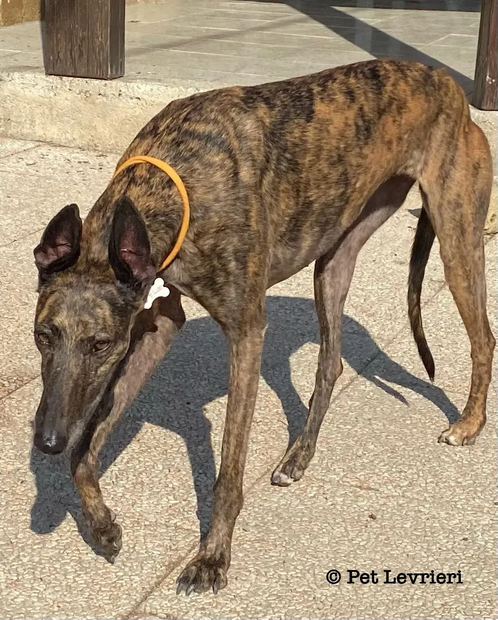 95253525 9B23 4897 85E1 49839708F7EC