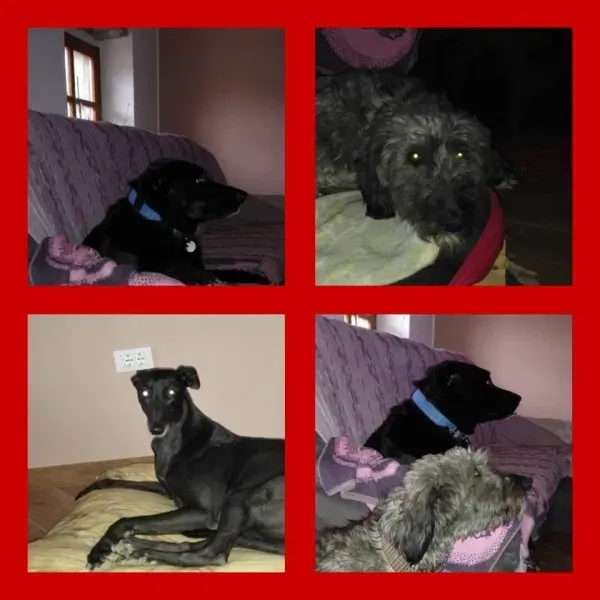 9543 10205357807120348 8648342711050123274 n