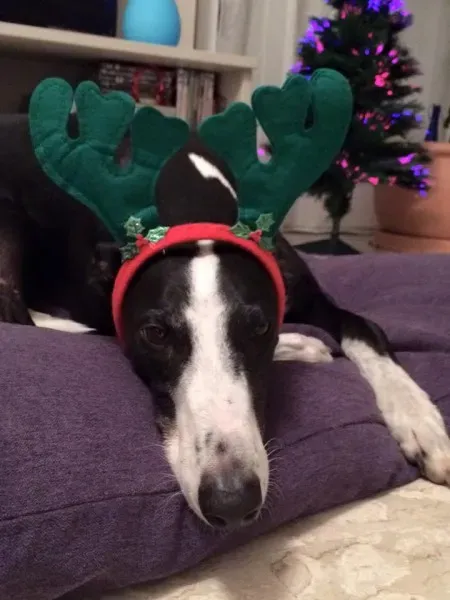 9543 791779720948439 5609742327214958508 n