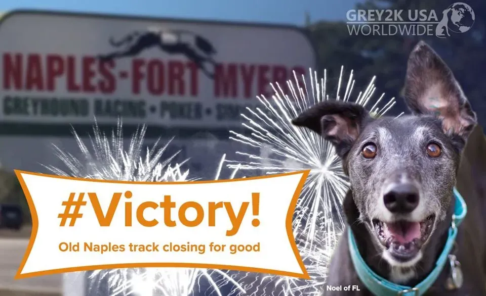 95638074 10157208549493354 3339697862777765888 o