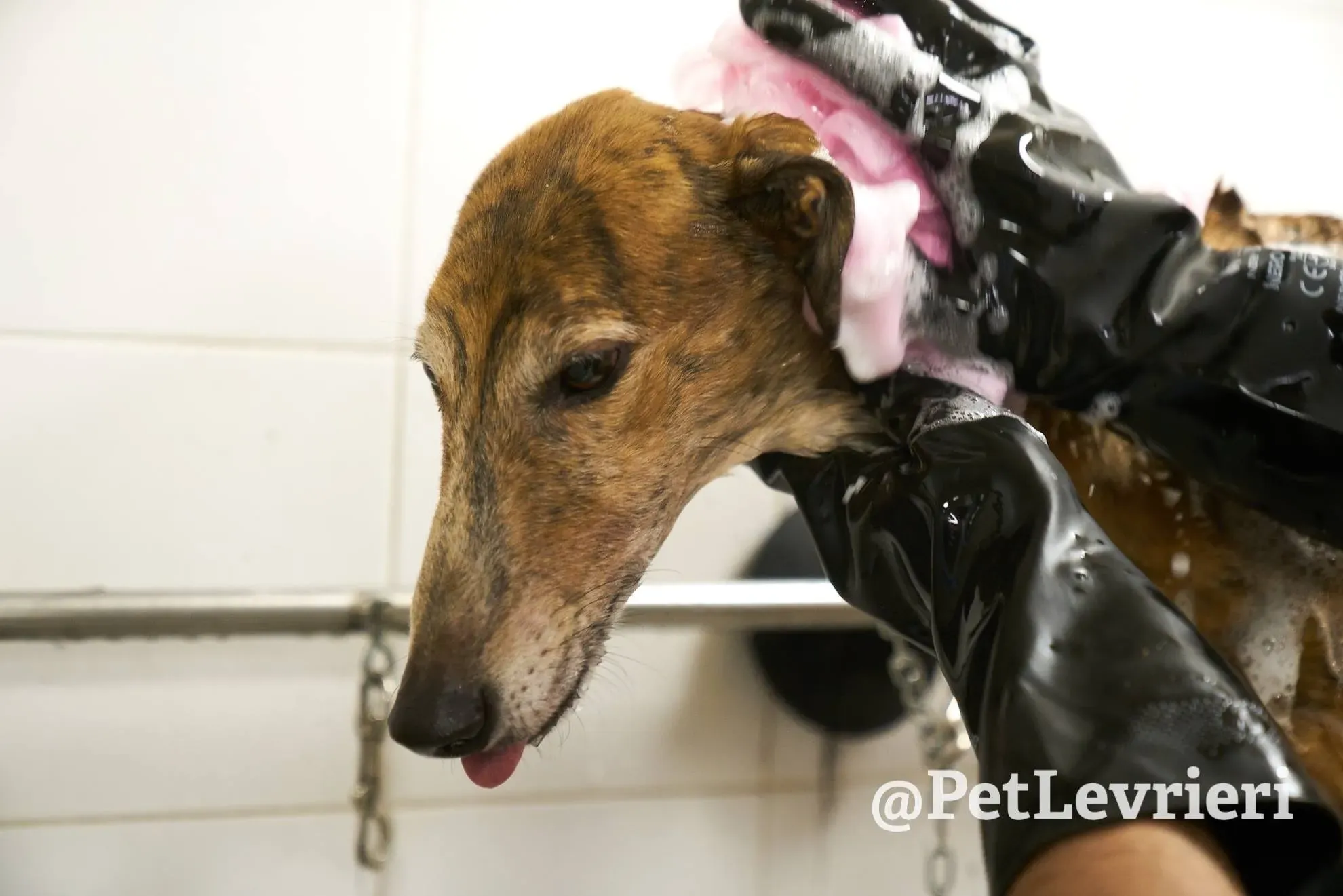 957C475A E2B0 4F6F B157 CAF8C22EE854