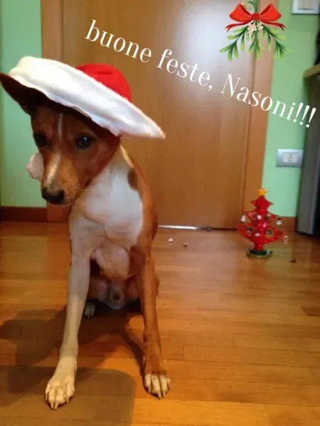 9594 10207444478017498 1450890593355988098 n