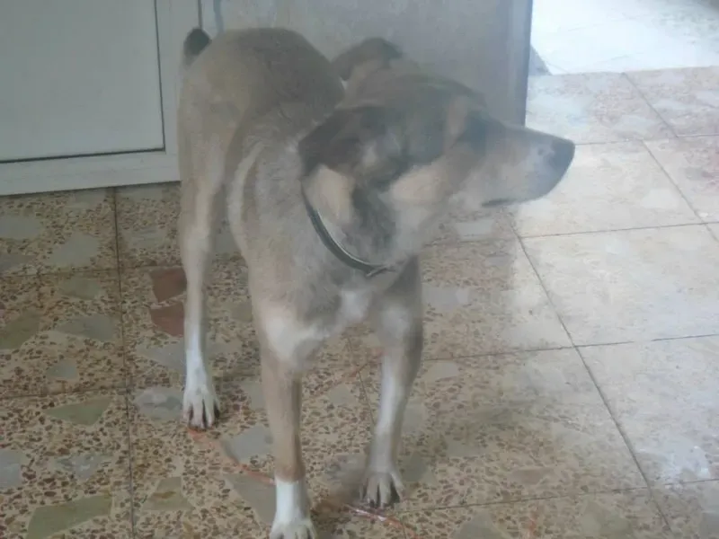 960123 10201075076501513 1074567574 n