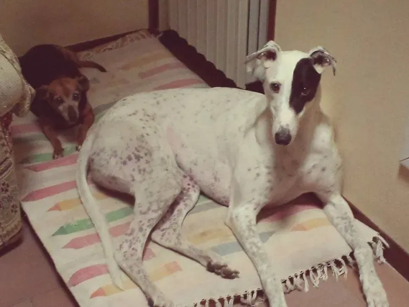 961369 10203349878581056 202355581 n