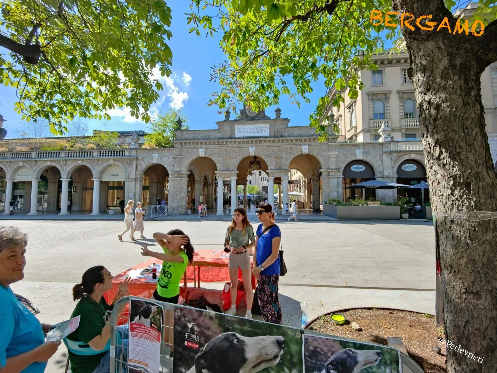 9646e802 60f4 4626 89b3 2542991d9344 risultato