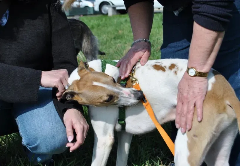 965505 645338245527351 957848280 o